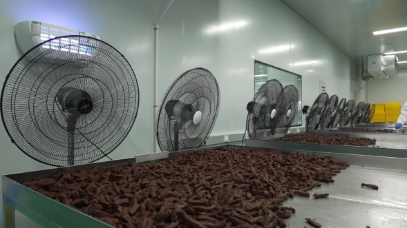 開(kāi)發(fā)區(qū)肉牛產(chǎn)品 以“牛”品質(zhì)征服全國(guó)市場(chǎng)